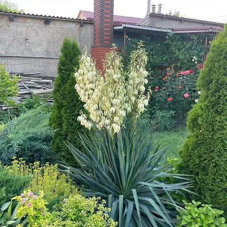 ирина Apartment